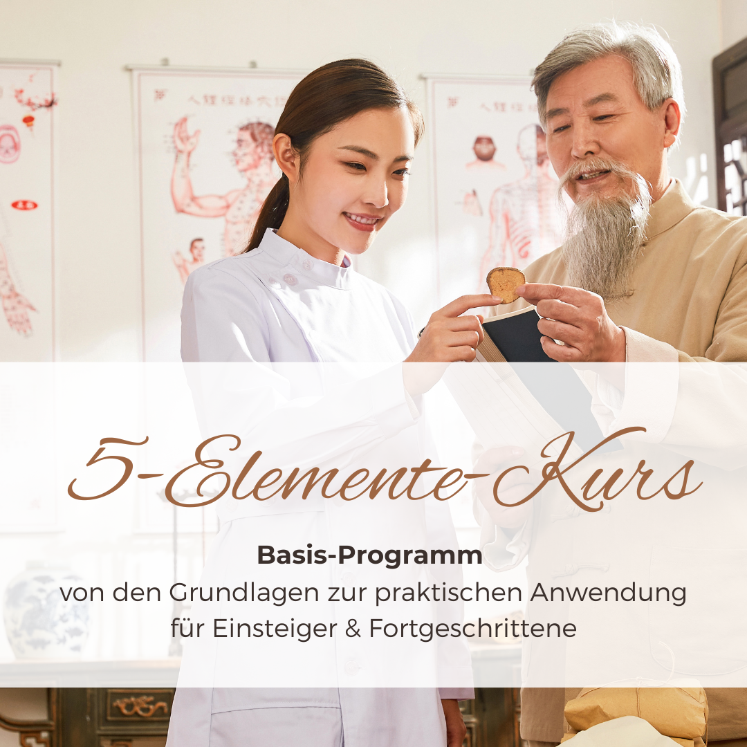 Bild zum 5-Elemente-Kurs